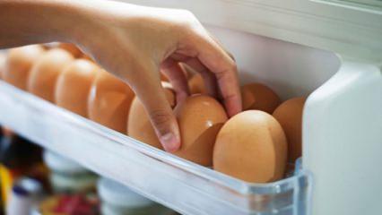 Yumurtayı buzdolabına koymak yanlış mı?