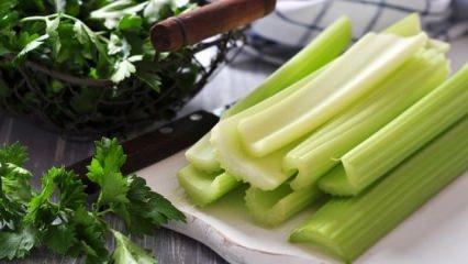 Her gün kereviz yersek vücudumuzda neler olur?