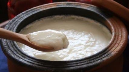 Evde yoğurt mayalamanın püf noktaları