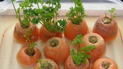 Kullanıldığında da b&uuml;y&uuml;meye devam eden sebzeler