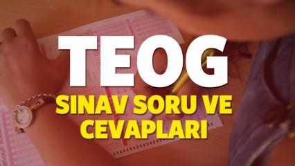 TEOG Türkçe, Matematik, Din Kültürü soru ve cevapları