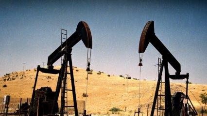 Petrol 17 ayın en yüksek seviyesinde!