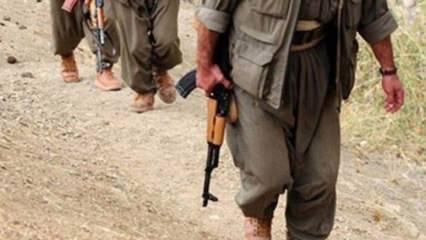 PKK'nın 5 üst düzey yöneticisi yakalandı