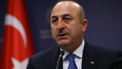 Bakan Çavuşoğlu'ndan operasyon açıklaması