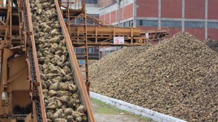 Susurluk şeker fabrikası için geri sayım