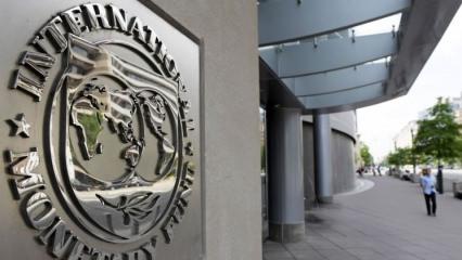 IMF'den Türkiye hakkında ikinci açıklama