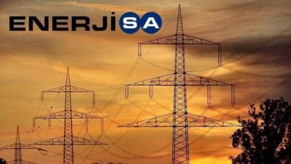 Enerjisa Enerji AŞ halka arz için SPK'ya başvurdu