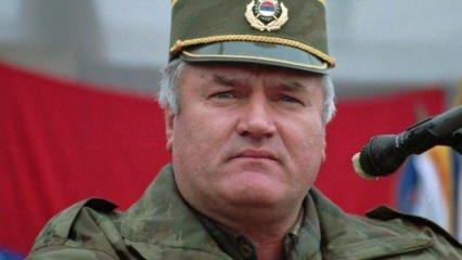 "Mladic'i yakalasaydık, soykırım olur muydu"