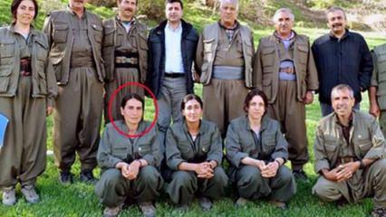 PKK'lı Hülya Eroğlu'nun son sözleri ortaya çıktı!