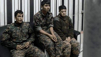 Yakalanan teröristten Afrin itirafı! Her evde var
