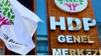 HDP'nin cumhurbaşkanı adayı belli oldu!