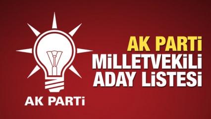 AK Parti İstanbul, Ankara, İzmir ve tüm illerin milletvekili aday listesi