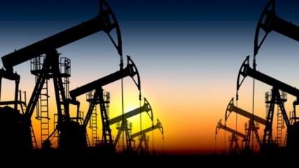 Brent petrolün varili 71,84 dolar