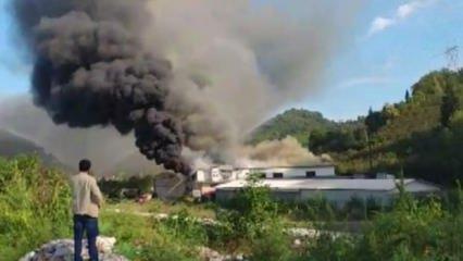 Sürmene'de fabrika yangını!
