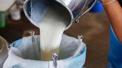 Çiğ süt tavsiye fiyatları yeniden belirlendi! 1 Ekim'de başlıyor