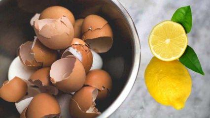 Yumurta kabuğu ve limon suyunu karıştırın! Faydası inanılmaz...