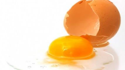 Rüyada yumurta görmek nasıl yorumlanır! Rüyada yumurta görmenin tabiri!
