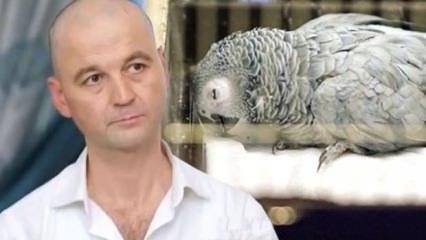 Murat Özdemir'in eziyet ettiği papağan öldü