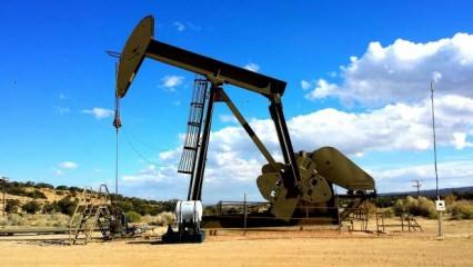 Brent petrolün varili 42,52 dolar