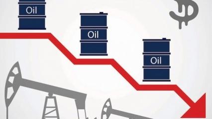Kriz petrolü fena vuracak
