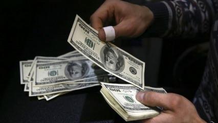 Merkez Bankası'ndan dolar açıklaması