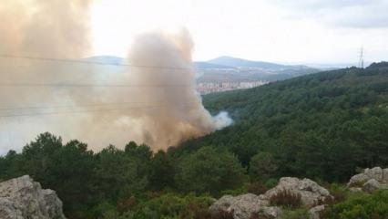 Kartal'da orman yangını