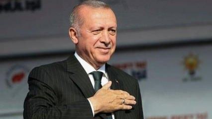 Cumhurbaşkanı Erdoğan'dan Van kedili "tbt" paylaşımı