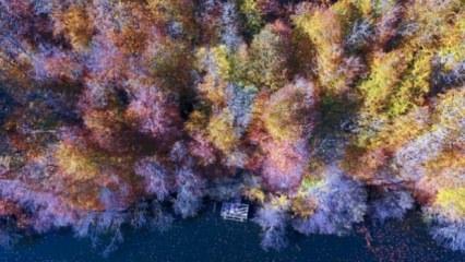 Anadolu'da sonbahar renkleri! Doyumsuz görüntüler