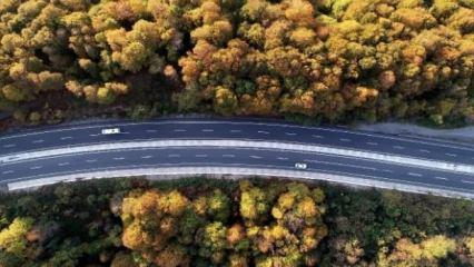 Zonguldak'ta sonbahar güzelliği