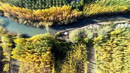 Tarih ve doğanın buluştuğu Savur'da sonbahar
