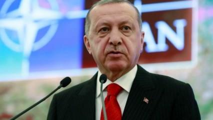 Erdoğan, Baltık planına neden onay verildiğini açıkladı!