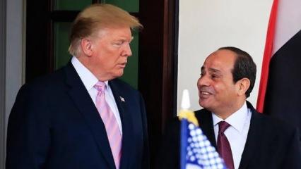 Trump ve darbeci Sisi'den kritik görüşme