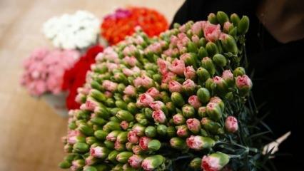 Çiçek sektöründen 83 ülkeye 107 milyon dolarlık ihracat