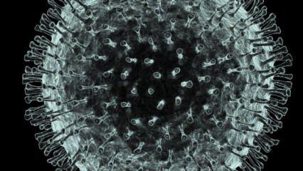 Korona virüsü nedir? Coronavirüs belirtileri nelerdir? 