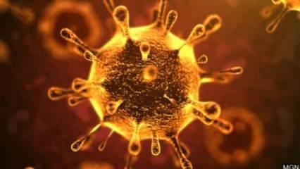 Koronavirüs test kitleri hakkında yeni gelişme!
