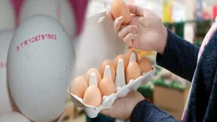 Organik yumurta nasıl anlaşılır? Yumurtanın kodları ne anlama gelir?