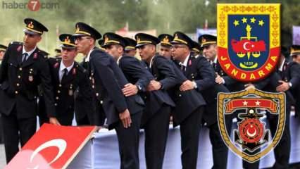 Subay alımı başvuruları için bugün son! Jandarma 2020 Subay alımı Başvuru şartları
