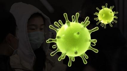 Uzmanlar uyardı: Koronavirüs sinsice vücuda yerleşiyor! Bir ay sonra...