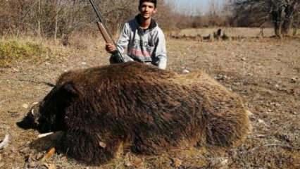 300 kiloluk Çal Canavarı öldürüldü!