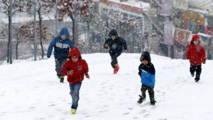 7 Şubat Bursa'da kar tatil olacak mı? Bursa'da okullar tatil mi?