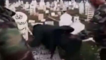 Esad rejimi camileri tahrip etti