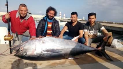 Dev orkinos, Türk balıkçıları Yunanistan'a sürükledi