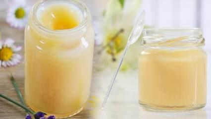 Arı sütünün faydaları - zararları: Leziz arı sütü nasıl saklanır & besin değeri!
