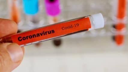Avrupa'nın göbeğinde corona virüs alarmı! İlk ölüm geldi