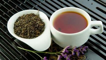 Mate çayı nedir? Mate çayının faydaları nelerdir? Mate çayı neye iyi gelir?