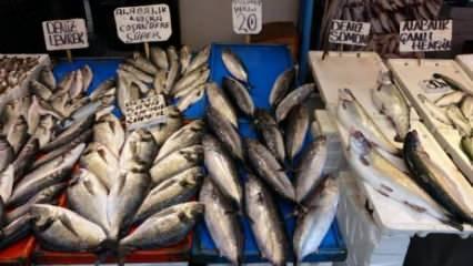 Palamut değil &lsquo;Tombik&rsquo;! Balık&ccedil;ıların bu oyununa dikkat