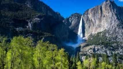 Yosemite National Park nerede? Amerika'nın kuzeydeki en ünlü parkı