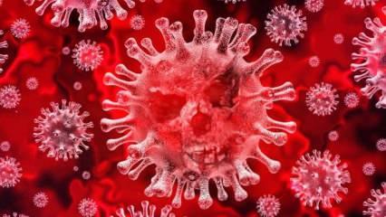 Korona virüsten nasıl korunurum? Coronavirüs (Koronavirüs) için alınması gereken önlemler