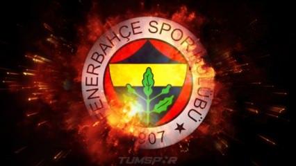 Fenerbahçe'ye piyango! Resmen açıkladılar