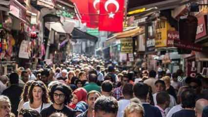 Hangi ülkede kaç Türk göçmen yaşıyor?